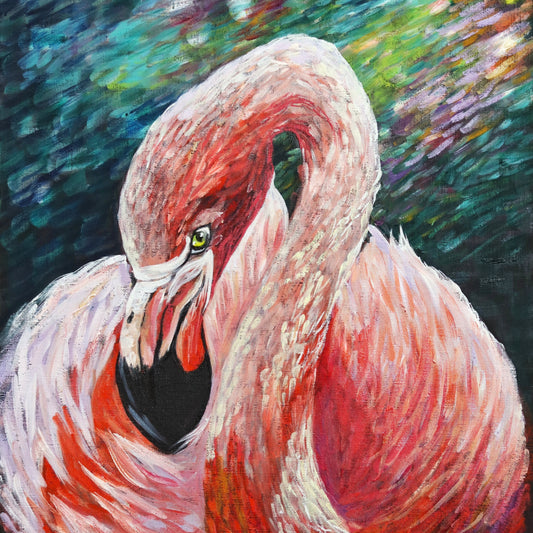 Pretty Flamingo