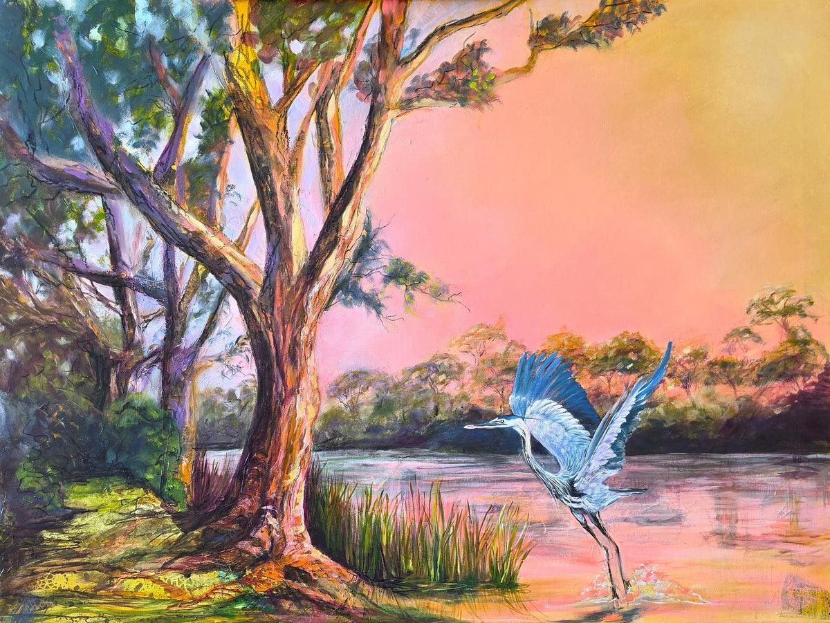 White-necked heron taking flight over an Australian river at dawn in At One With the Light of Dawn by Lynette Mary Skeers.