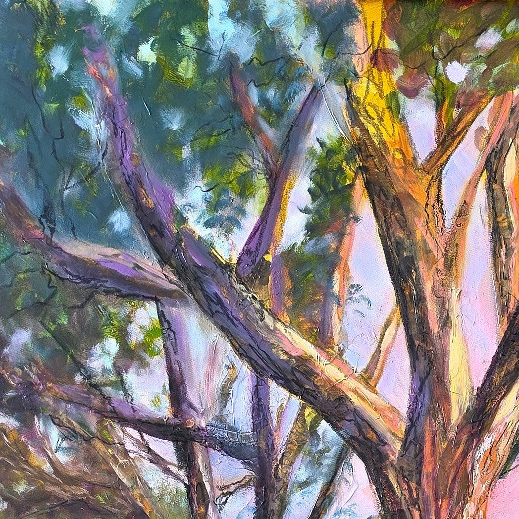 At One With the Light of Dawn