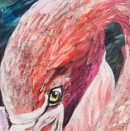 Pretty Flamingo